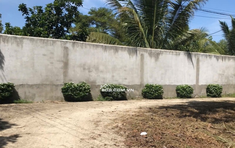 Bán đất mặt tiền Nguyễn Thế Toàn, Gia Kiệm – Thống Nhất – Đồng Nai | 161m² | Giá 1 tỷ 2 trọn sổ